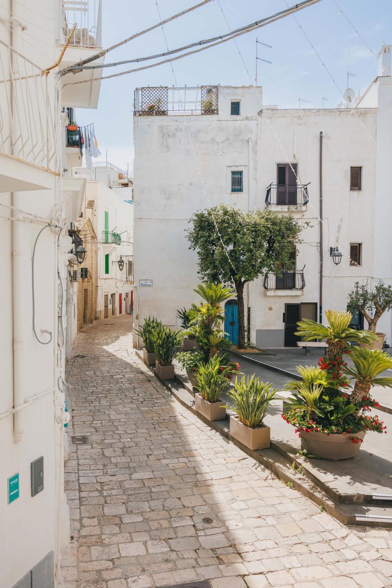 Apartmán Santa Maria 24 Monopoli Exteriér fotografie